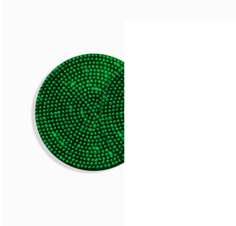 Bling Car Coasters For Cup Holder (2 Pack) - Frazeshop