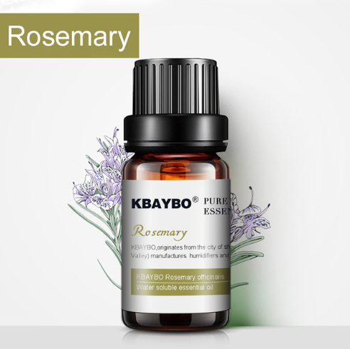 Botanical Aromatherapy Essential Oil - Frazeshop